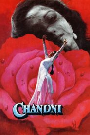 Chandni 1989 on netflix