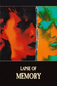 Lapse of Memory 1991 on netflix