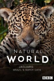 Jaguars: Brazil’s Super Cats 2016 on netflix