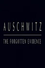 Auschwitz: The Forgotten Evidence 2004 on netflix
