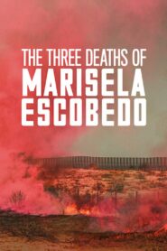 The Three Deaths of Marisela Escobedo 2020 on netflix