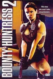 Sexual Temptations 2001 on netflix