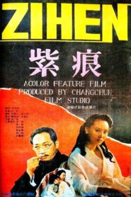 Zi Hen 1991 on netflix