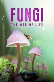 Fungi: The Web of Life 2023 on netflix