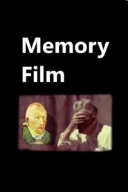 Memory Film 2012 on netflix
