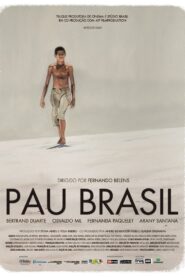 Pau Brasil 2014 on netflix