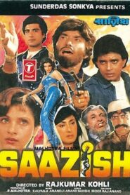 Saazish 1988 on netflix
