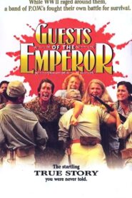 Silent Cries 1993 on netflix