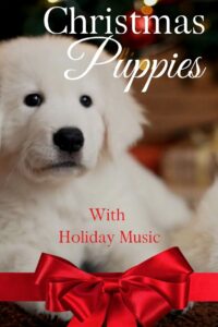 Christmas Puppies 2020 on netflix