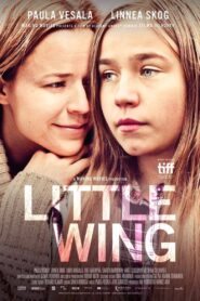 Little Wing 2016 on netflix