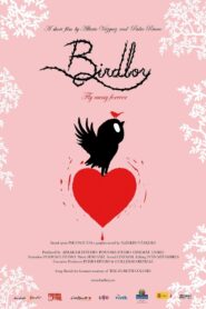 Birdboy 2011 on netflix