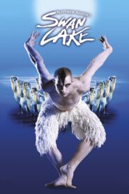 Swan Lake 2012 on netflix