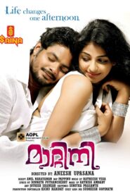 Matinee 2012 on netflix