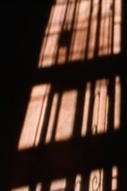 the willing voyeur… 1996 on netflix