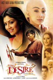 The Desire: A Journey of a Woman 2011 on netflix