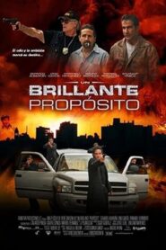 A Bright Purpose 2009 on netflix