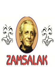 Zamsalak 2005 on netflix