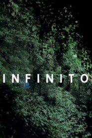 Infinito 2011 on netflix