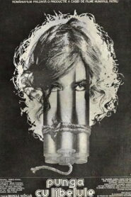 The Dragonfly Bag 1981 on netflix