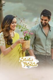 Varudu Kaavalenu 2021 on netflix