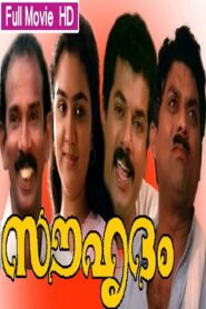 Souhrudam 1991 on netflix