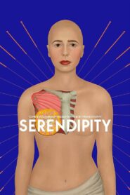 Serendipity 2019 on netflix