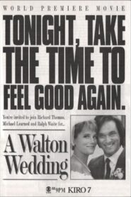 A Walton Wedding 1995 on netflix