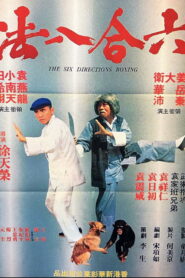 The Six Directions of Boxing 1980 on netflix
