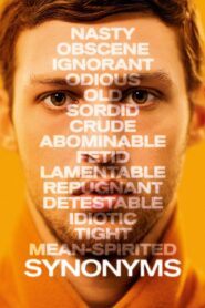 Synonyms 2019 on netflix