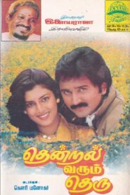 Thendral Varum Theru 1994 on netflix