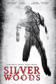 Silver Woods 2017 on netflix