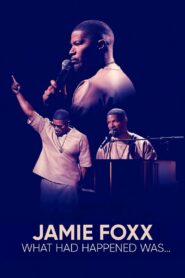 Jamie Foxx: What Had Happened Was… 2024 on netflix