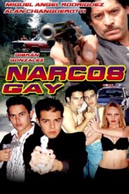 Narcos Gay 2002 on netflix