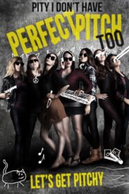 Pity I Don’t Have Perfect Pitch Too 2017 on netflix