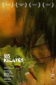 25 Carat 2008 on netflix