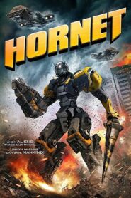 Hornet 2018 on netflix