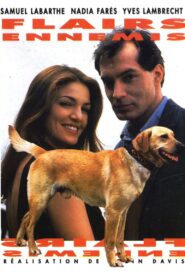 Flairs ennemis 1996 on netflix