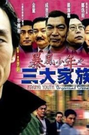Raging Youth: Organised Crime 1999 on netflix