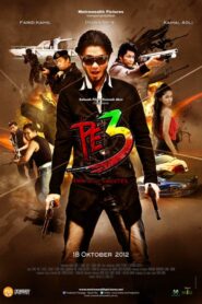 PE3 2012 on netflix