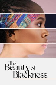 The Beauty of Blackness 2022 on netflix