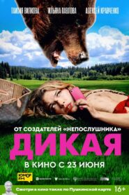 Wild 2022 on netflix