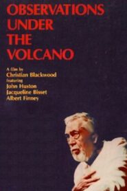 Observations Under the Volcano 1984 on netflix