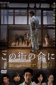 Through Their Eyes 2016 on netflix