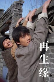 再生缘 2009 on netflix