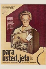 Para usted jefa 1980 on netflix