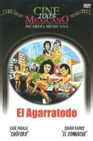 Pasandola bien 1989 on netflix