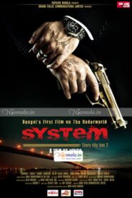 System 2011 on netflix