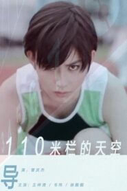 110米栏的天空 2012 on netflix