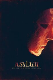 Asylum 2013 on netflix