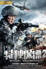 特种保镖2 2018 on netflix